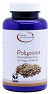 Polyporus Extrakt Pulver 100 Gramm